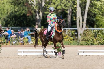 Bild 94 - Pony Akademie Turnier
